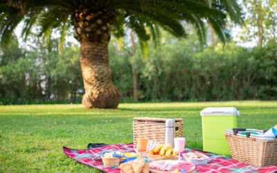 Parks in Leander TX Perfect For Outdoor Parks