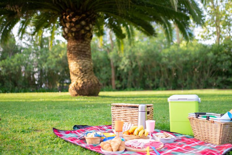 Top Parks for Corporate Events and Family Reunions
